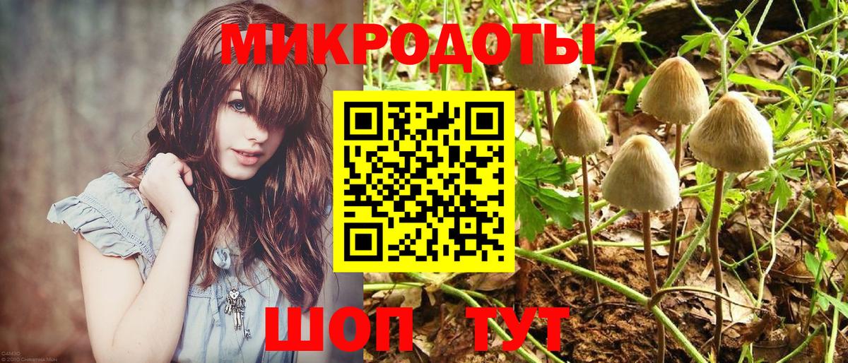 Галлюциногенные грибы Cubensis  Вход с VPN  Галлюциногенные грибы Psilocybe  Лиски 