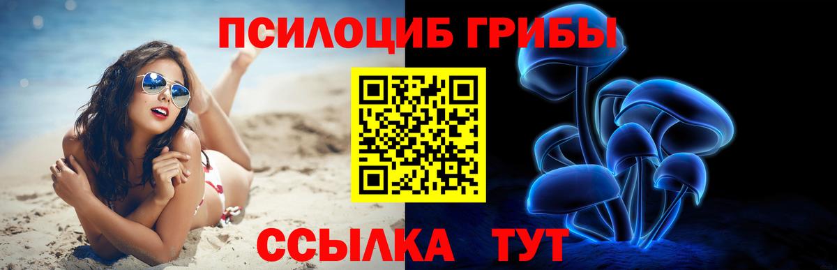 Псилоцибиновые грибы мицелий Лиски